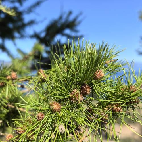 Photo #11949768