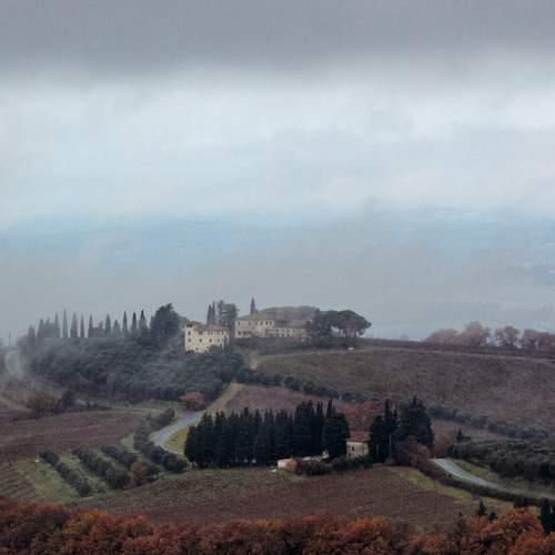 Photo #11949794