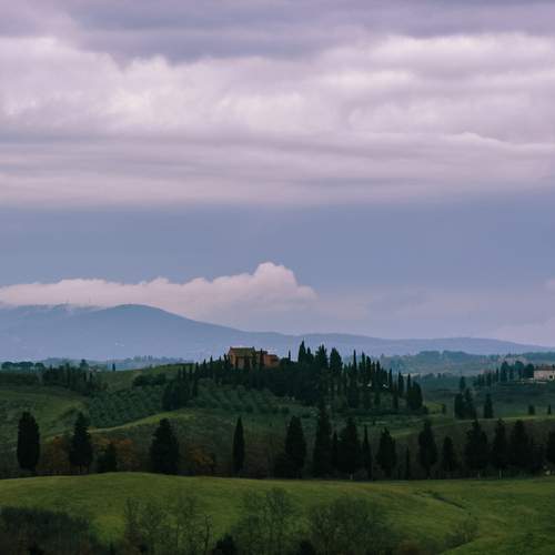 Photo #11949795