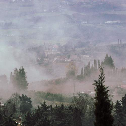 Photo #11949796
