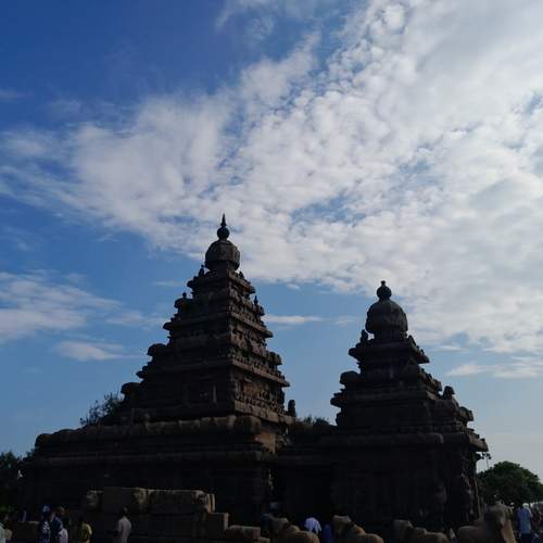 Photo #11949807