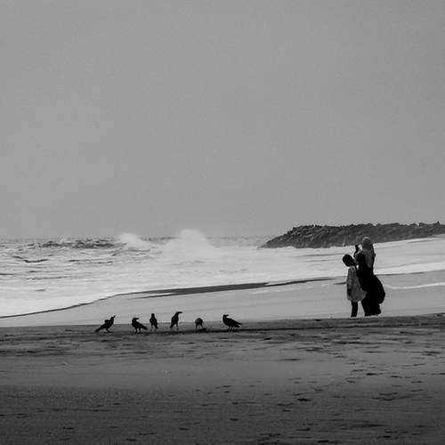 Photo #11949824