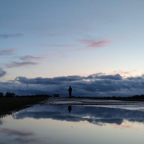 Photo #11949934