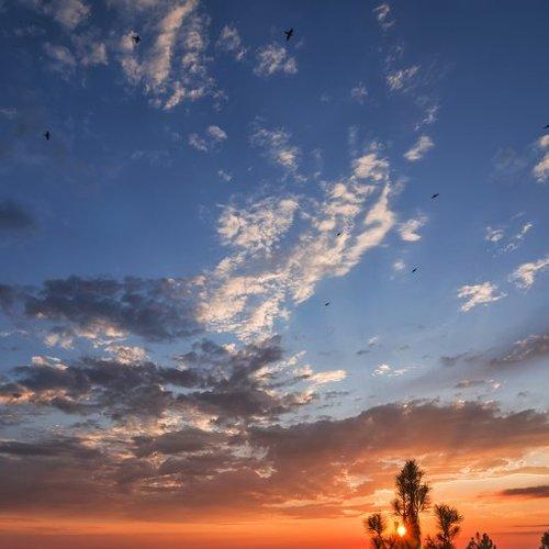 sunset