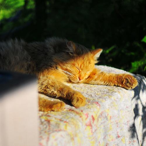 Photo #1198548