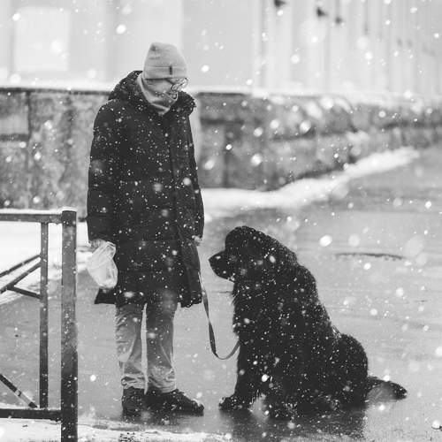 Photo #11950010