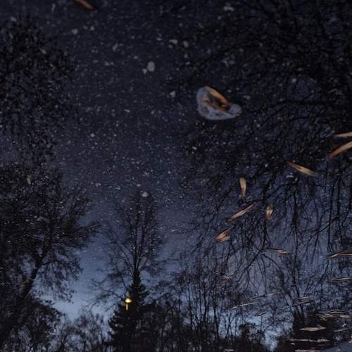 Photo #11950046