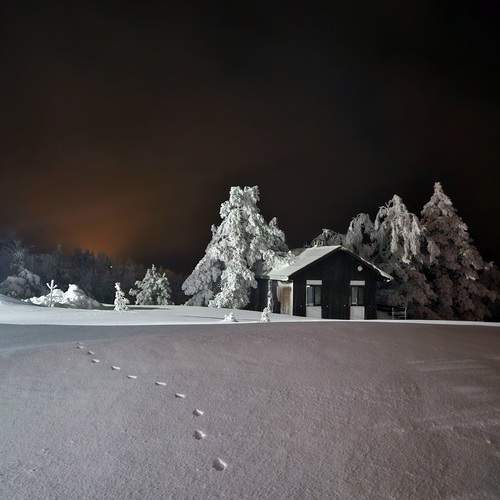 Photo #11950127