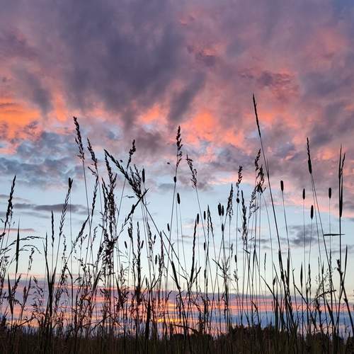 Photo #11950167