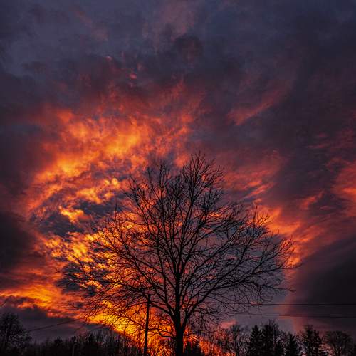 Photo #11950177