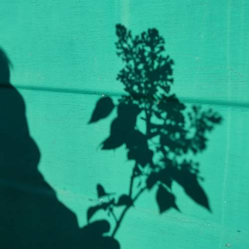 Photo #11950189