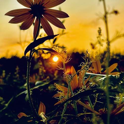 Photo #11950223
