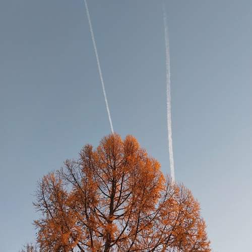 Photo #11950395
