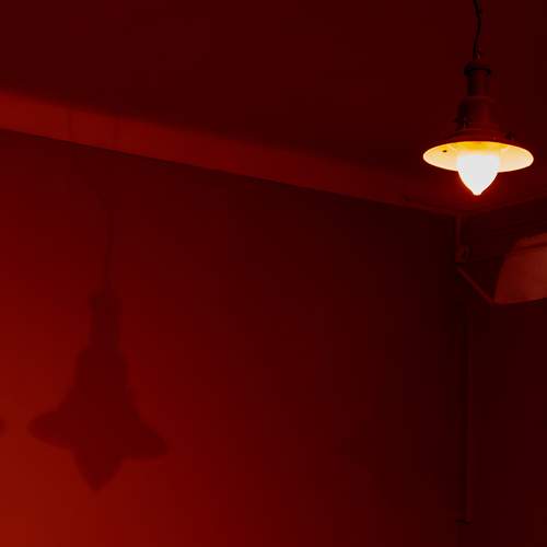 Photo #11950417
