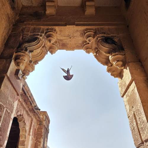 Photo #11950479