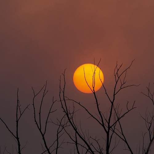 Photo #11950483