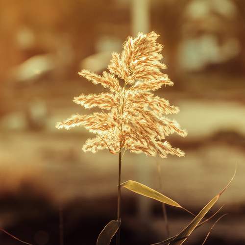 Photo #11950548