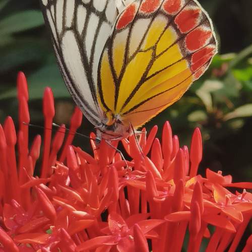 Photo #11950556