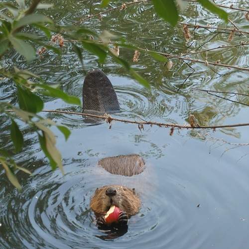 Photo #11950578