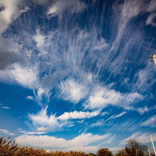 Photo #11950635