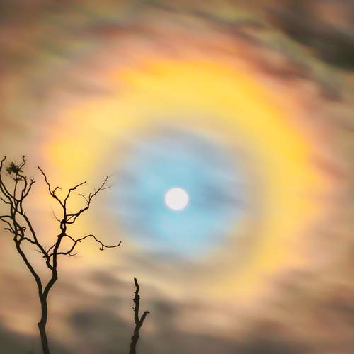 Celestial Whispers