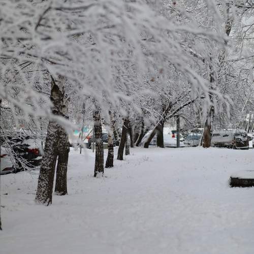 Photo #11950803