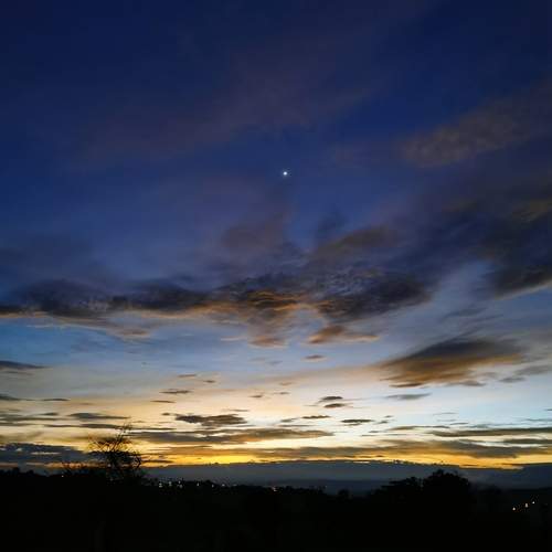Photo #11950810