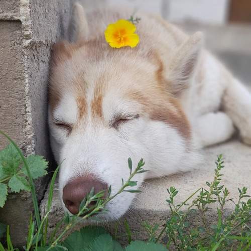 Photo #11950931