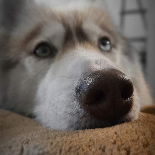 Photo #11950952