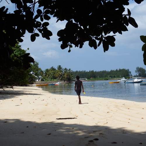 Photo #11951084