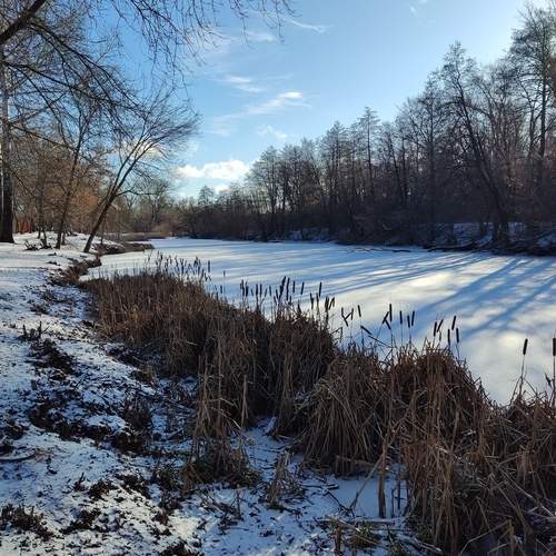 Photo #11951170