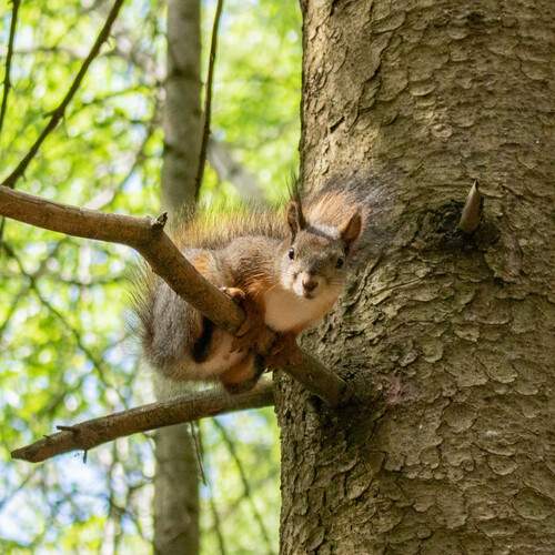 Фотография #11951183