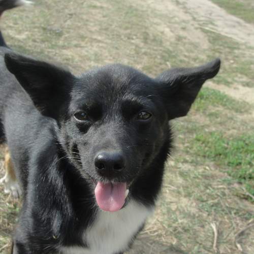 Photo #11951187