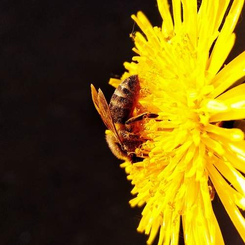 Photo #11951313