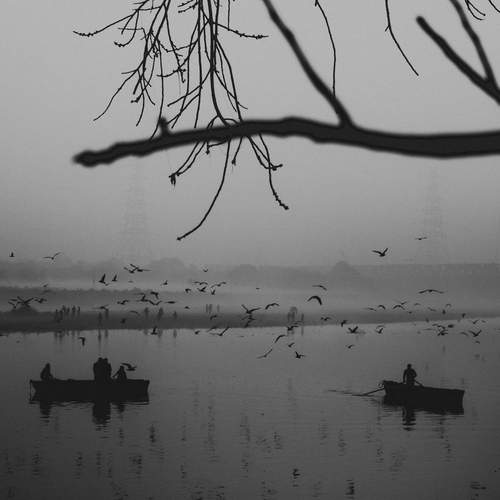 Photo #11951324