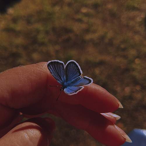 Photo #11951354