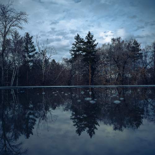 Photo #11951377