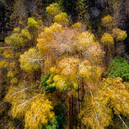 Photo #11951821