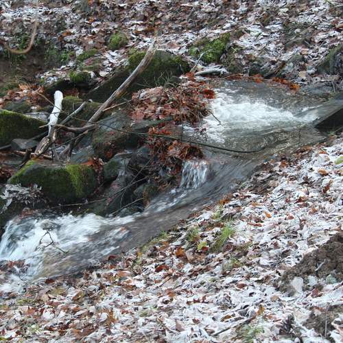 Photo #11951972