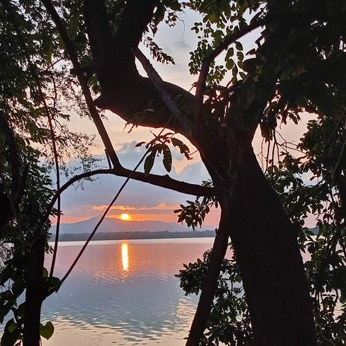 Photo #11951974