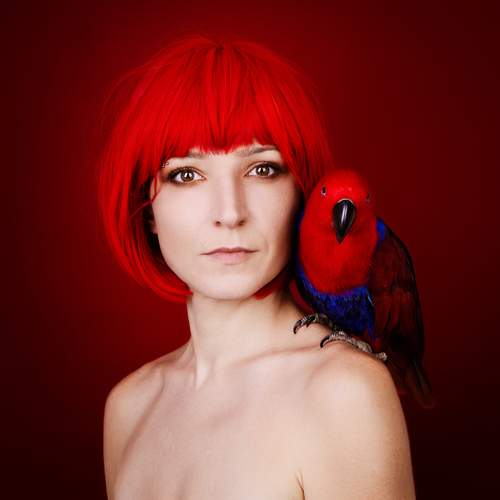 Parrot