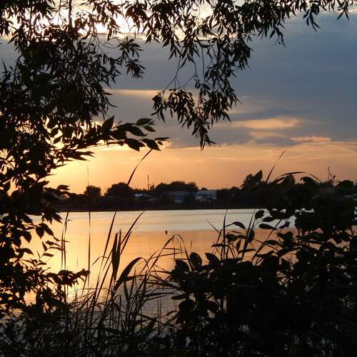 Photo #11952001
