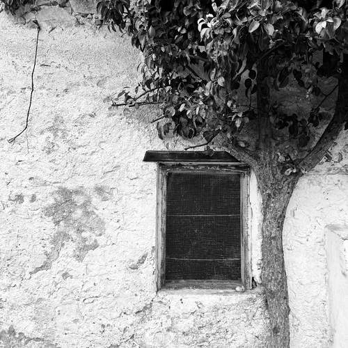 Photo #11952005