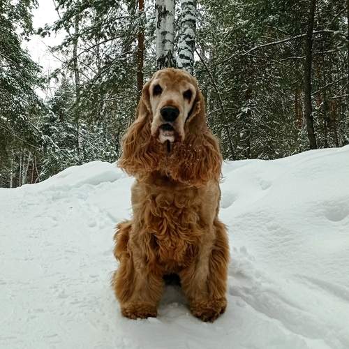 Photo #11952093
