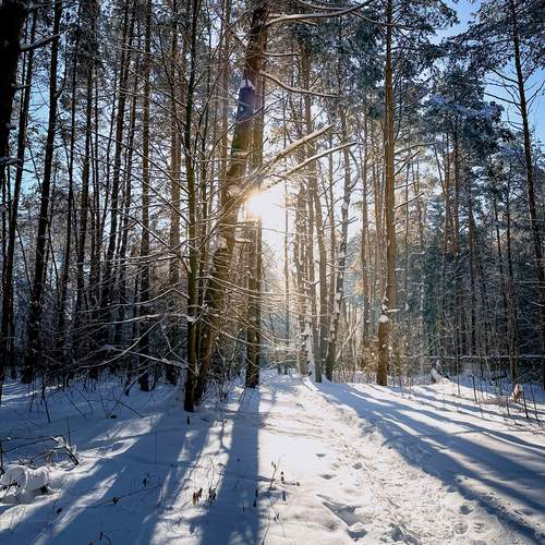 Photo #11952176