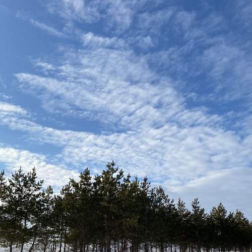 Photo #11952185
