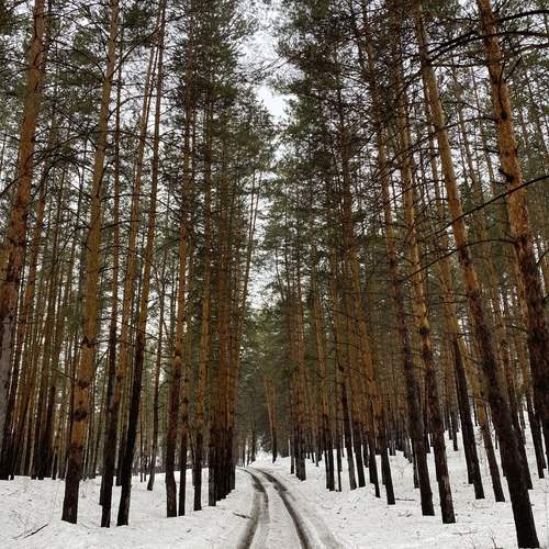 Photo #11952193