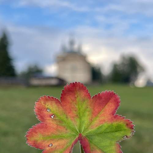 Photo #11952247