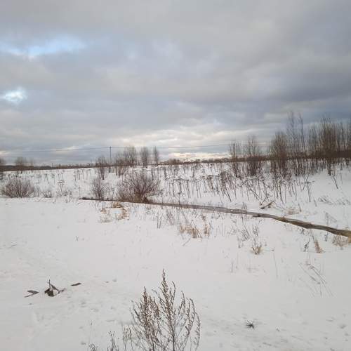 Photo #11952292