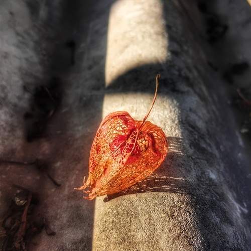 Photo #11952304